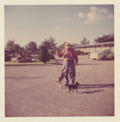 Foto istantanea vintage