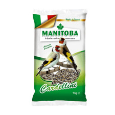 Manitoba cardellino - manitoba,