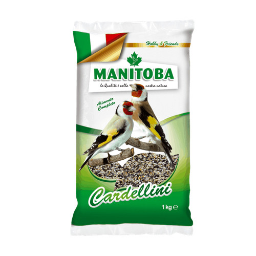 Manitoba cardellino - manitoba,