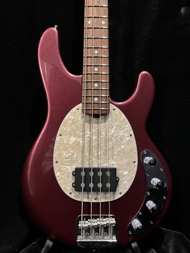 Music man stingray - man, special