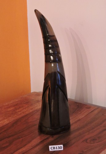 Corno bue africano originale - africano,