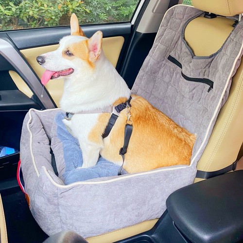 Seggiolino auto per cani - auto,