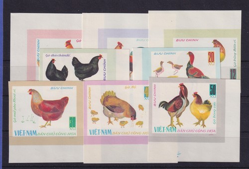 Vietnam 1968 polli pollame