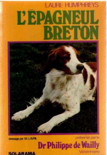 Epagneul breton wailly - epagneul,