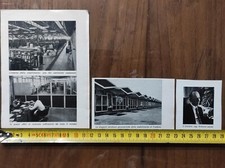 Predore (Bergamo) azienda