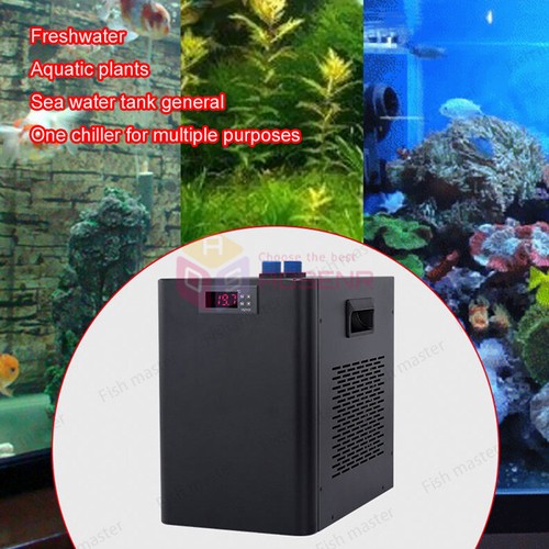 Refrigeratore acqua idroponica