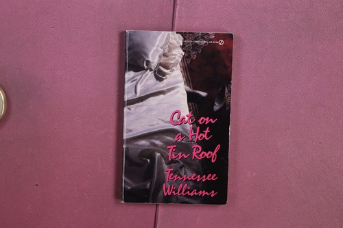 404297 tennessee williams cat - 404297,