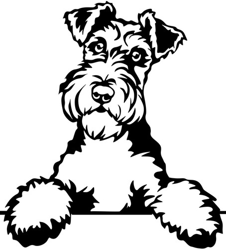 Adesivo foxterrier - foxterrier,