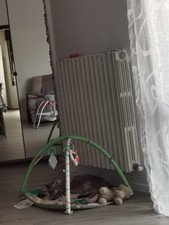 Egli Trust In Game 110 x 70cm Scrivania Gaming Ergonomica con Cavi Supporto...