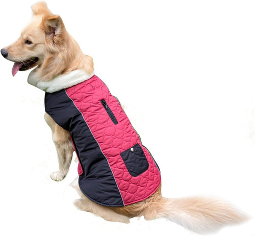 Cappottino per cani - cappottino,