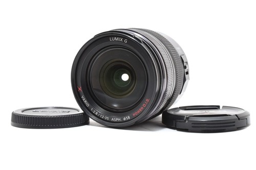 Panasonic lumix vario - g, x