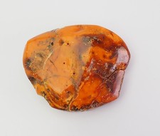 Bellissima Pietra Di Ambra Baltica Butterscotch 32 Grammi