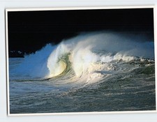 Cartolina Wave Curls Waimea