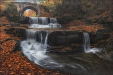 TESSUTO NON TESSUTO FOTOMURALE