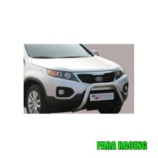 Misutonida EC/SB/253/IX