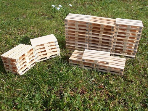 Muschio vero legno - muschio,