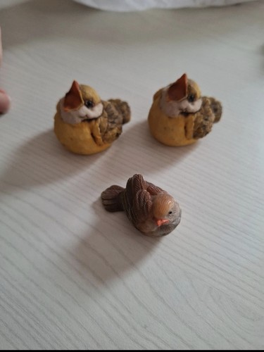 Lotto uccelli artefice - ,