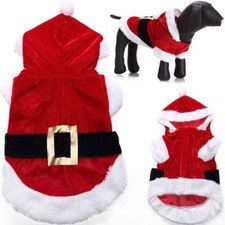 Vestito vestitino cappotto