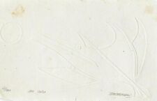 Elvio BECHERONI (1934-2000) incisione CALCOGRAFIA OPERA Grafica "IN VOLO" Firma