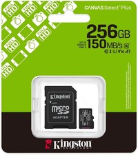 Scheda di memoria 256 GB