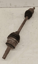 46308260 Semialbero ant