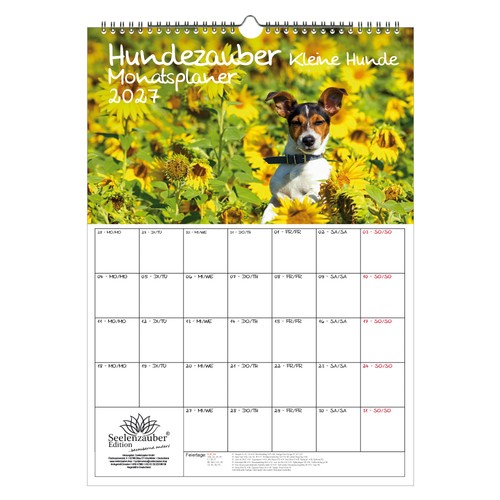 Planner magia per cani - planner,