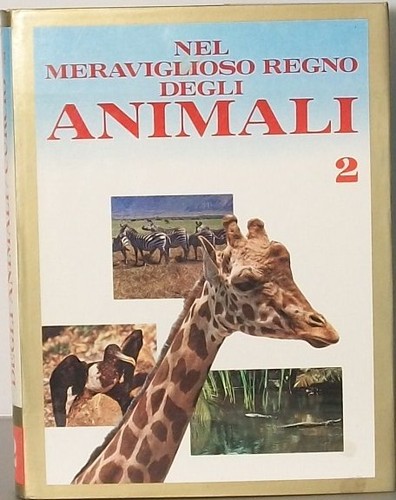 Nel meraviglioso regno degli