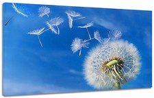 Quadro Moderno Arredamento Fiori Soffione Cielo Azzurro Stampa Tela Arredo Casa 