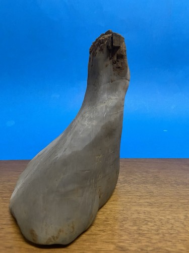 Pietra naturale suiseki