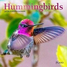 Colibrì | Mini Calendario da