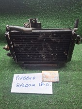 Radiatore Acqua Piaggio Exagon