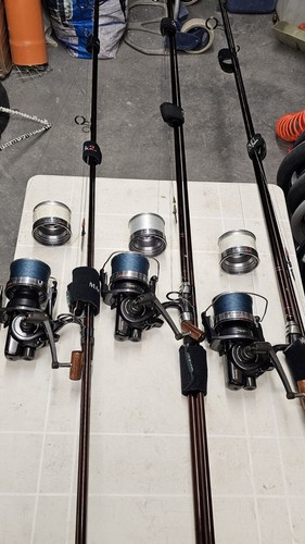 Canne carpfishing solar - 3,