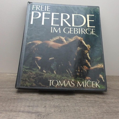 Freie pferde gebirge d - pferde, im