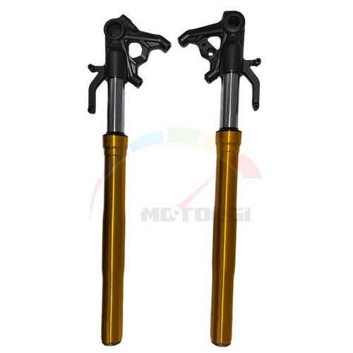 Assy ammortizzatore forcella