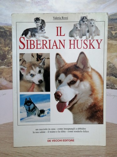 Valeria rossi siberian - il,