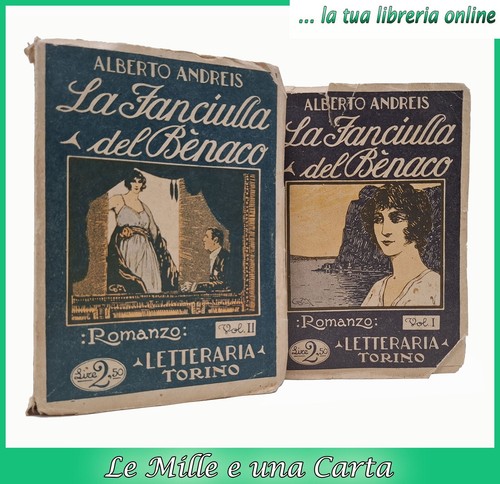 Libro romanzo due volumi - romanzo,