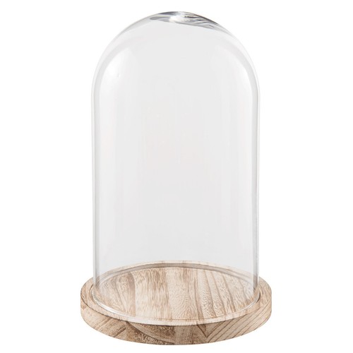 Espositore vetro cloche - vetro,