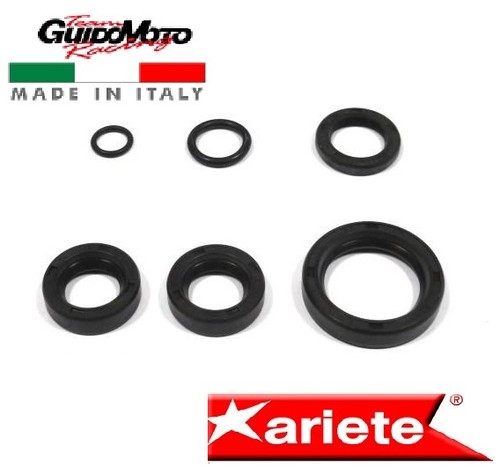 Paraolio motore moto - motore,