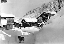 A7410) PARTICOLARE RUSTICO MARESON ZOLDO ALTO NEVICATA CANE VIAGGIATA BELLUNO