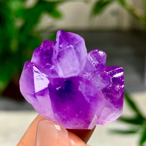 11g natural beautiful phantom - natural,