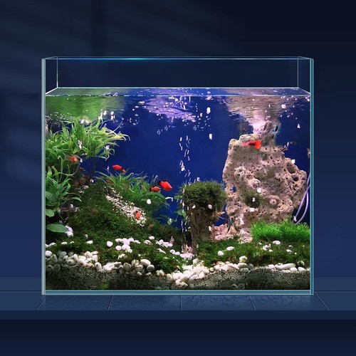 Set acquario coperchio ferro - e,