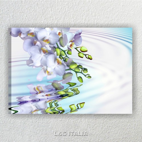 Orchidea riflesso quadro - orchidea,
