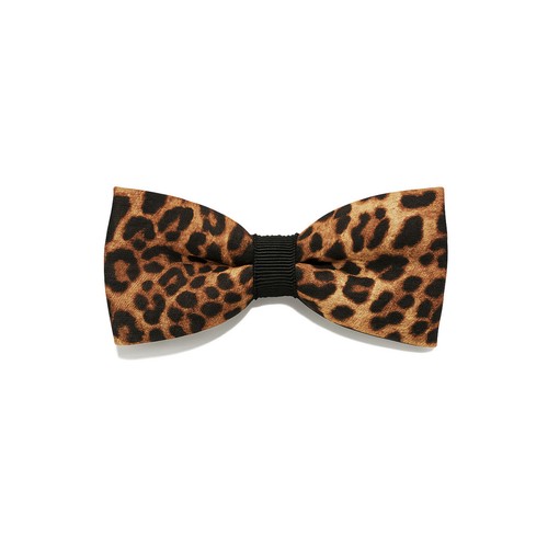 Papillon leopardato classico - , |
