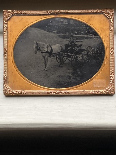 Foto antica cavallo - , passeggino