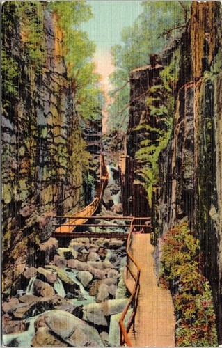 Cartolina lino flume - cartolina,