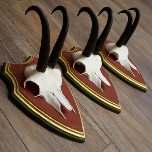 Trofeo legno cirmolo - legno,