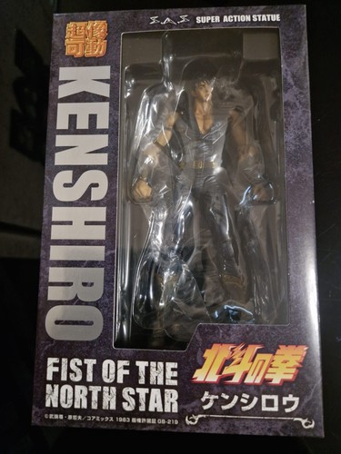 Fist the north star action - the,