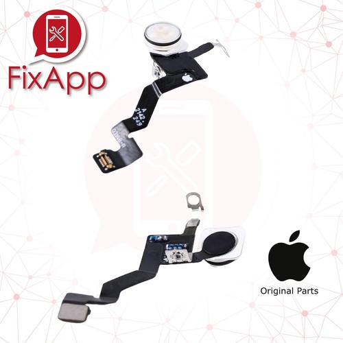 100 originale apple - originale, 13
