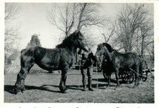 Foto, seconda guerra mondiale
