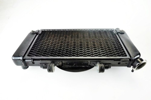 Yamaha tdm 900 radiatore - tdm, 02